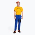 Men's trekking trousers Salewa Pedroc 2 DST Light blue 00-0000028597 2