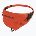 DYNAFIT React 600 2.0 0.75 l dawn/syrah running belt