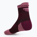 DYNAFIT Transalper burgundy running socks 2