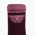 DYNAFIT Transalper burgundy running socks 4