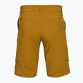 Men's trekking shorts Salewa Puez DST Cargo golden brown 2