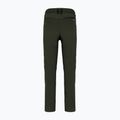 Men's softshell trousers Salewa Agner DST dark olive 2