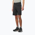 Men's trekking shorts Salewa Fanes Light black out