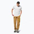 Men's T-shirt  Salewa Puez HYB Dry white 2