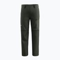 Men's trekking trousers Salewa Puez Hemp/Dst 2/1 dark olive 7