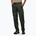 Men's trekking trousers Salewa Puez Hemp Dst dark love