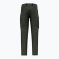 Men's trekking trousers Salewa Puez Hemp Dst dark love 8