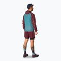 Men's DYNAFIT Alpine Wind 2 running jacket burgundy 3