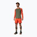 Men's DYNAFIT Alpine Pro thyme running longsleeve 2