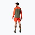 Men's DYNAFIT Alpine Pro thyme running longsleeve 3