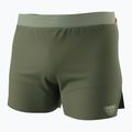 Men's DYNAFIT Sky thyme running shorts 3