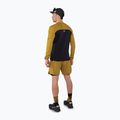 Men's DYNAFIT Alpine Pro black out tabacco running longsleeve 3