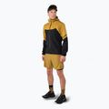 Men's DYNAFIT Alpine Pro 2IN1 tobacco running shorts 2