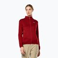 Women's trekking sweatshirt Salewa Puez Rocca Pl syrah