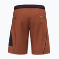 Men's trekking shorts Salewa Pedroc 3 DST Cargo bombay brown/0910 2