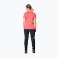 DYNAFIT Traverse 2 cabana women's trekking shirt 3