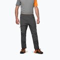Men's trekking trousers Salewa Nxt Dst onyx