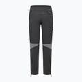 Men's trekking trousers Salewa Nxt Dst onyx 8