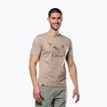 Men's T-shirt Salewa Eagle Geometric quicksand