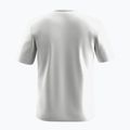 Men's Salewa Eagle Geometric T-shirt optical white 2