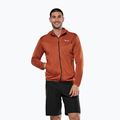 Men's trekking sweatshirt Salewa Puez Altavia PL HD bombay brown