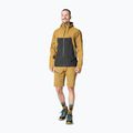 Men's DYNAFIT Transalper GTX rain jacket relic/0910 2