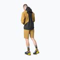 Men's DYNAFIT Transalper GTX rain jacket relic/0910 3