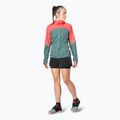 Women's DYNAFIT Alpine Wind cabana atlantic running jacket 3