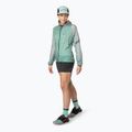 DYNAFIT Women's Running Shorts Sky Short Tights black out 2