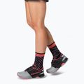 DYNAFIT Trail socks gerbera pink 2