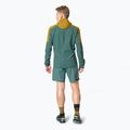 Men's DYNAFIT Alpine Wind tobacco running jacket 4