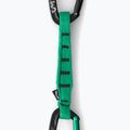Climbing quickdraw Salewa Ortles Str/Bnt 170 Qd black/irish green 2
