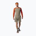 Men's running longsleeve DYNAFIT Alpine Pro alabama/5490i 2