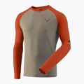 Men's running longsleeve DYNAFIT Alpine Pro alabama/5490i 4