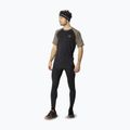 Men's running top DYNAFIT Alpine Pro fallen rock/0936 2