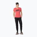 Women's T-shirt DYNAFIT Graphic Co cabana/tabloid 2