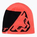 Winter hat DYNAFIT Leopard Logo cabana/0910