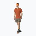 Men's trekking T-shirt DYNAFIT Traverse 2 Alabama 2