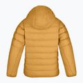 Children's insulated jacket Salewa Brenta Rds Dwn spruce yellow 2
