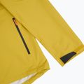 Men's rain jacket Salewa Puez Aqua 4 PTX 2.5L olive oil/0910 4