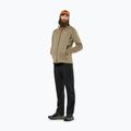 Men's trekking sweatshirt Salewa Puez Rocca Polarlite Hood quicksand 2