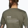Men's T-shirt Salewa Eagle Vocab faded green 4