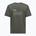 Men's T-shirt Salewa Eagle Vocab faded green 6