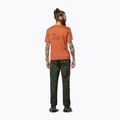 Men's T-shirt Salewa Eagle Vocab bombay brown 3
