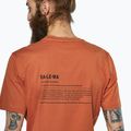 Men's T-shirt Salewa Eagle Vocab bombay brown 4