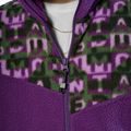Trekking sweatshirt Salewa Eagle Anniversary plum 4