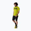 Men's trekking T-shirt DYNAFIT Transalper Graphic golden lime/5a30 2