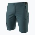 Men's trekking shorts DYNAFIT Transalper Light Dynastretch cinder/0910 4