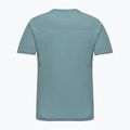 Men's trekking T-shirt Salewa Puez Sporty Dry willow 2