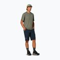 Men's T-shirt Salewa Pedroc Dry Light faded green 2